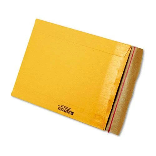 Natural Kraft 10 1/2 x 14 Mailer L637