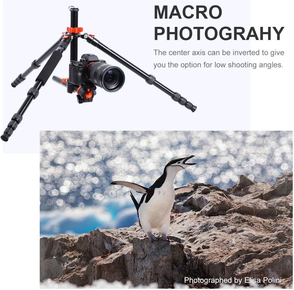 67 inch Aluminum Camera Tripod with 360 Degree Ball Head Quick Release Plate A600219