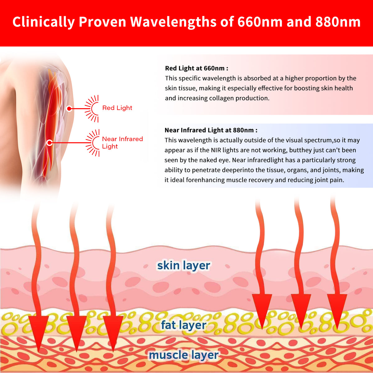 Near Infrared Red Light Belts 660nm 880nm (2 Pad) F513889