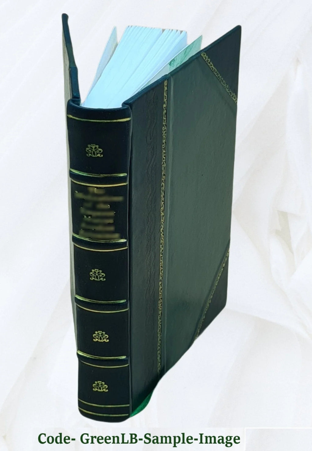 Leather Bound Book A413