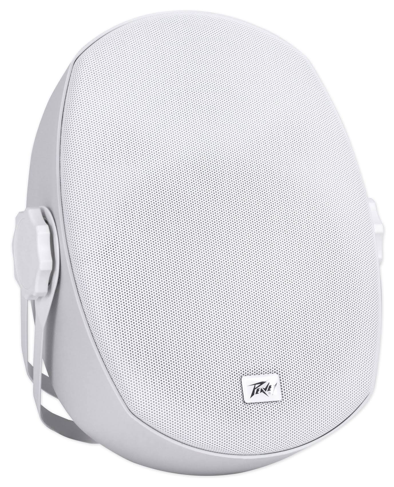 White 5C Speaker V223