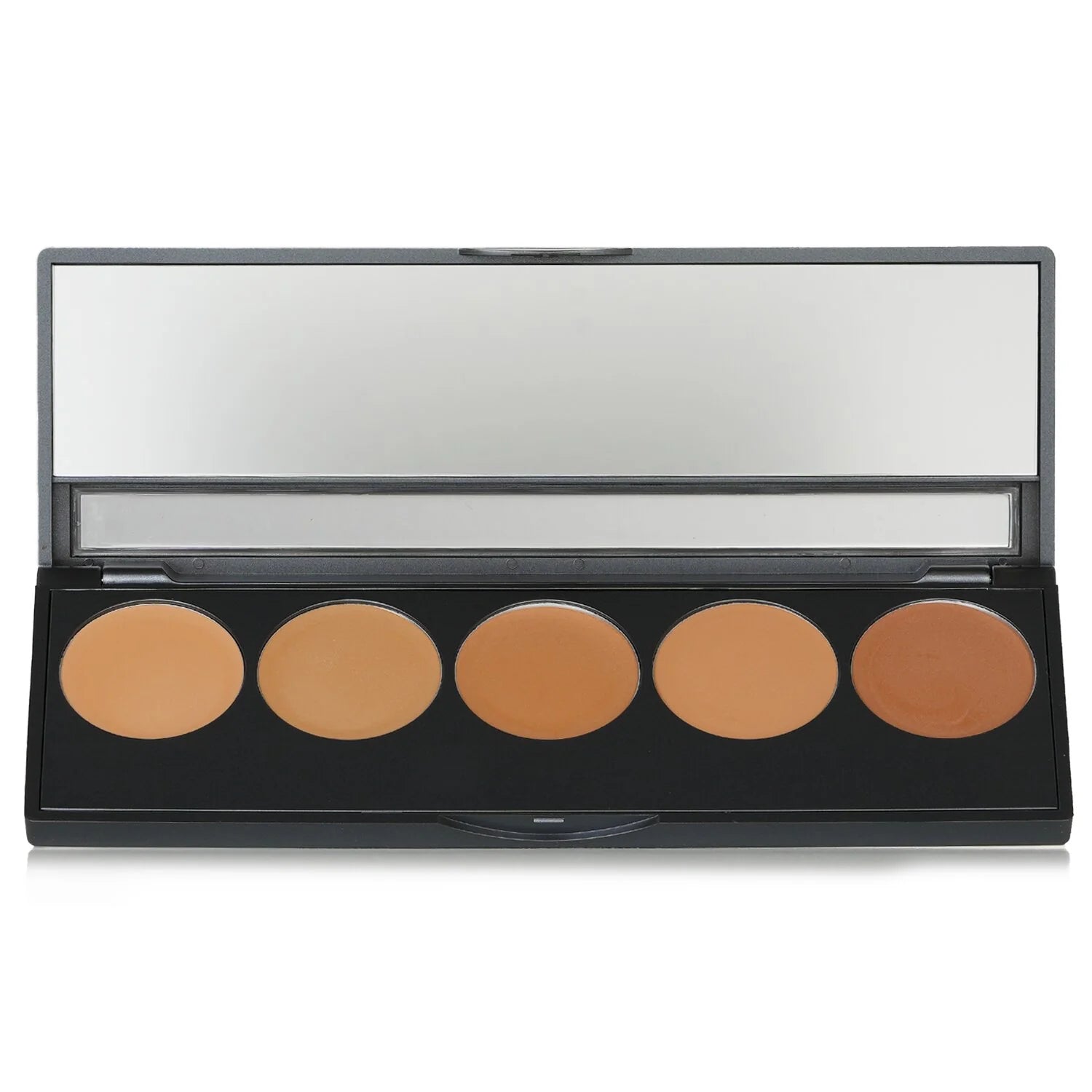 5 In 1 Pro Palette 12.5g Y276