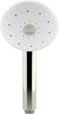Polished Nickel Handshower G437796