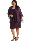 Purple Lace Sleeveless Scoop Neck Sheath Dress F805309