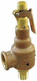 Safety Relief Valve, 1 In, 10 PSI Q4607