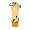 Brass Soft Seat ASME Safety Valve, 175 PSI, 3/4 Male NPT S595885