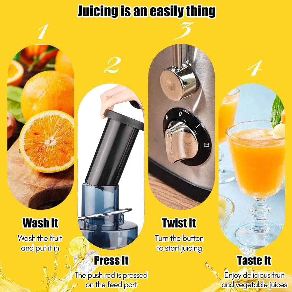 800W Stainless Steel Electric Juicer V31793