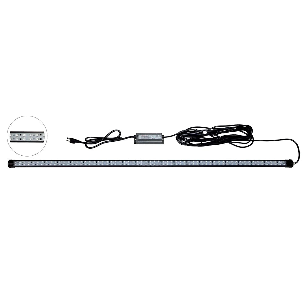 40W/120VAC Dock Mounted Fishing Light - Blue M11905