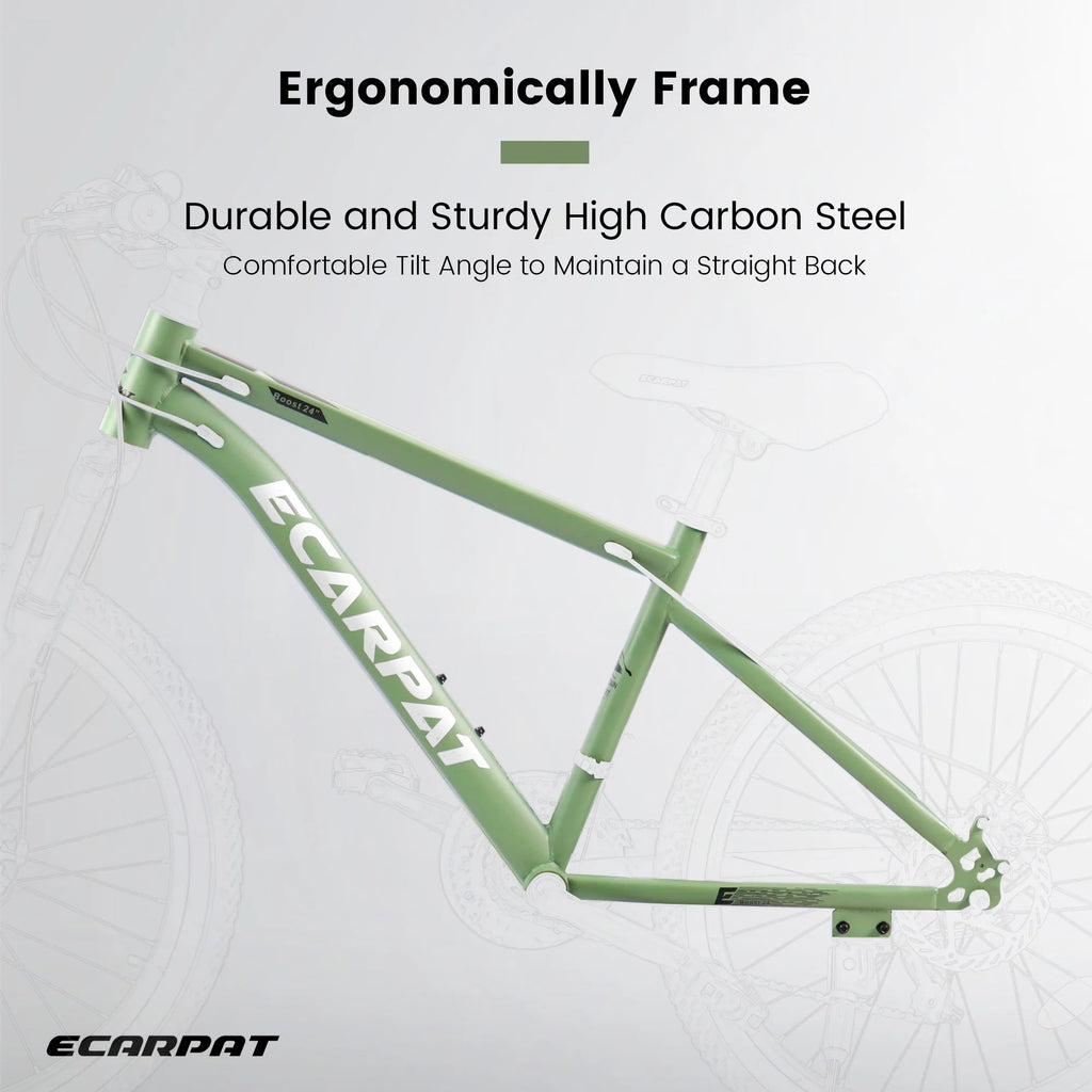 24 Inch Carbon Steel Frame Mountain Bike U2476