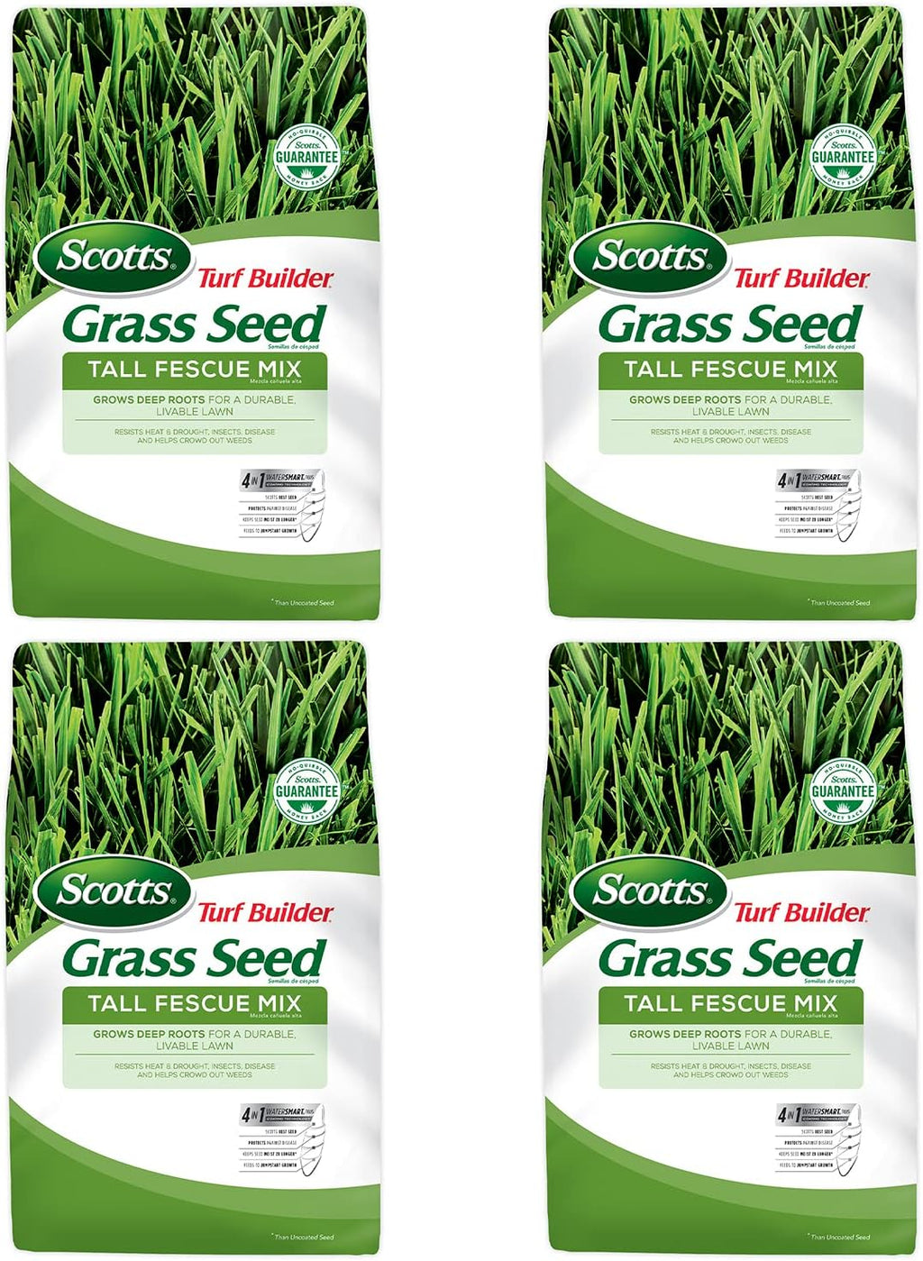 Tall Fescue Grass Seed Mix, 20 lb. Pack of 2 G88524