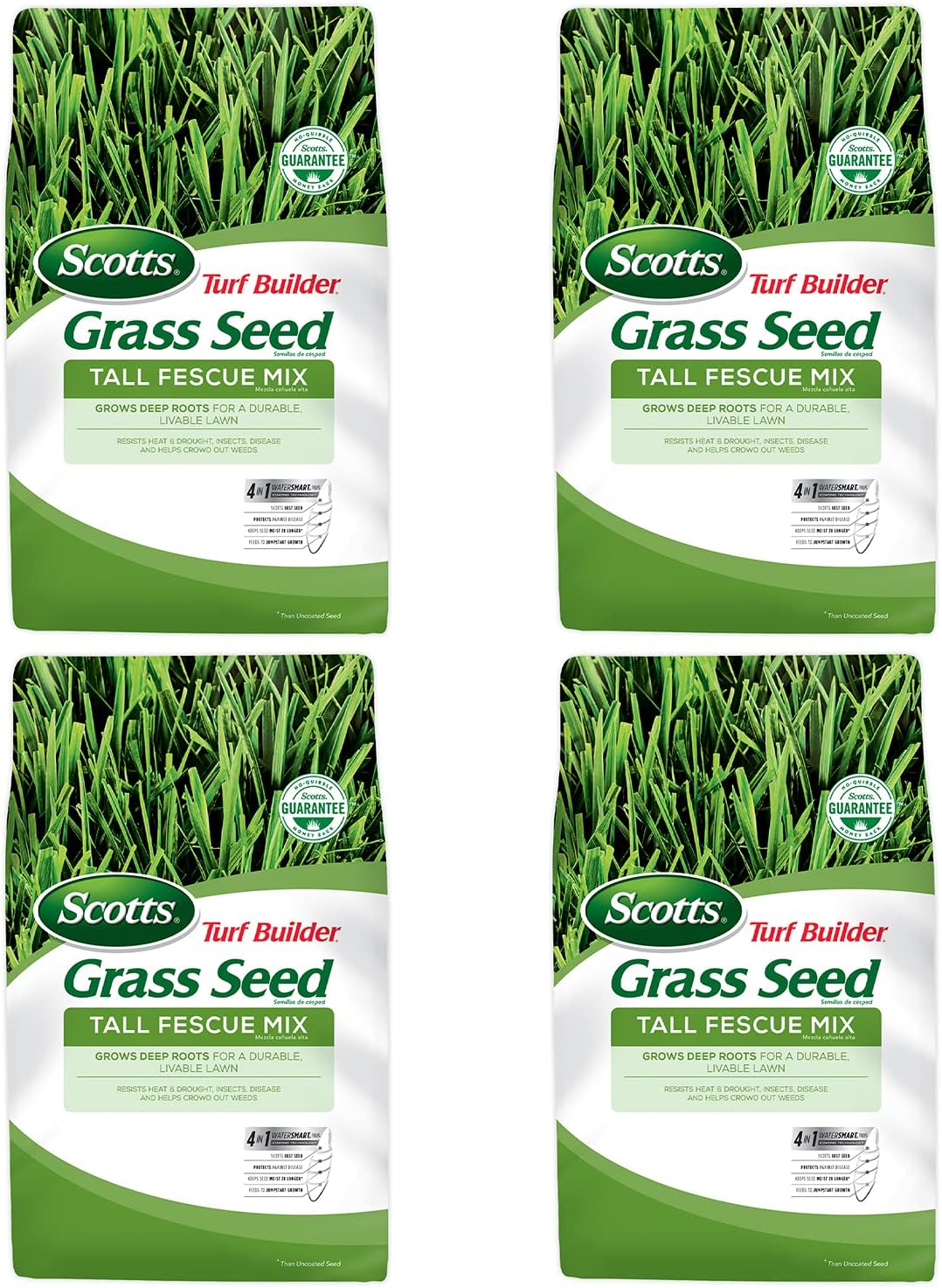 Tall Fescue Grass Seed Mix, 20 lb. Pack of 2 G88524