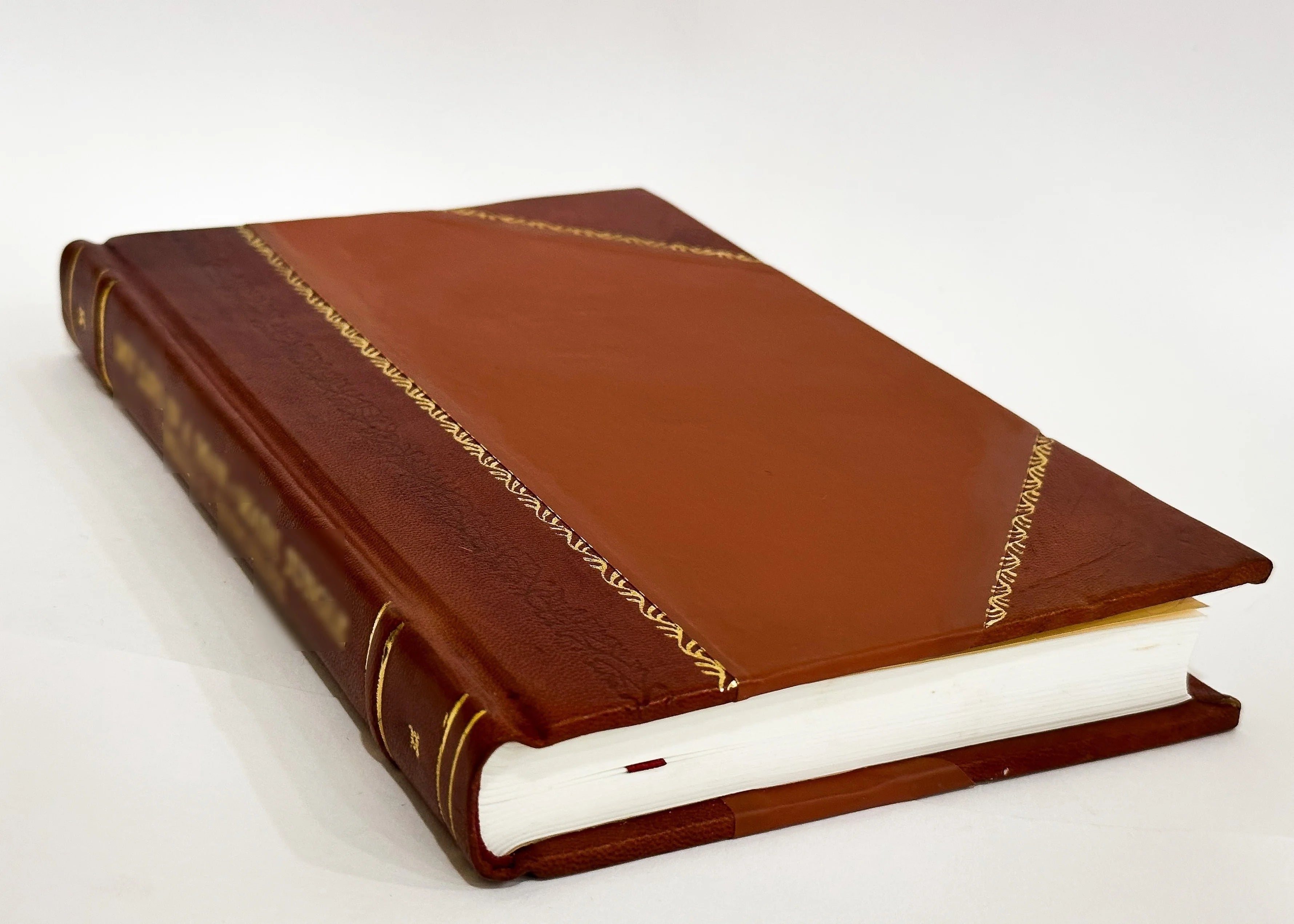 Leather Bound Book N730