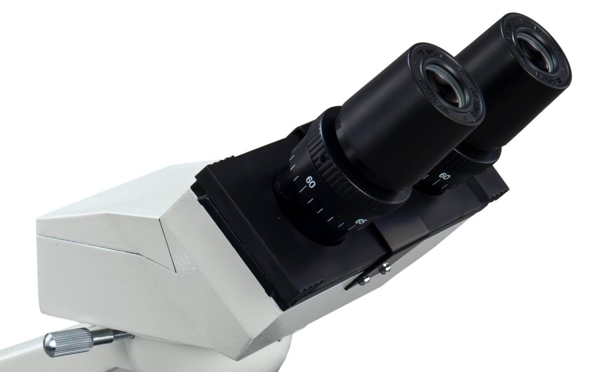 40X-2000X LED Binocular Compound Microscope with Double Layer Mechanical Stage I81801