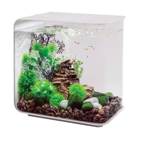 White 8 Gallon Aquarium Y11544