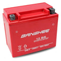 12 Volt 12 Ah SLA AGM Battery F618219