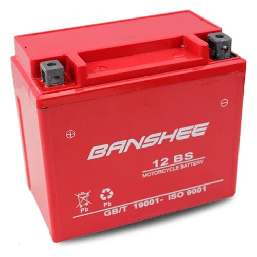 12 Volt 12 Ah SLA AGM Battery F618219