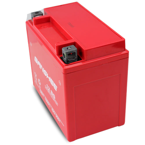 12 Volt 12 Ah SLA AGM Battery F618219