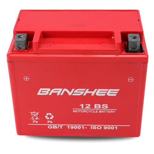 12 Volt 12 Ah SLA AGM Battery F618219