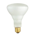 65 Watt Incandescent BR30 Reflector Flood Medium Base Clear, Pack of 2 O5978