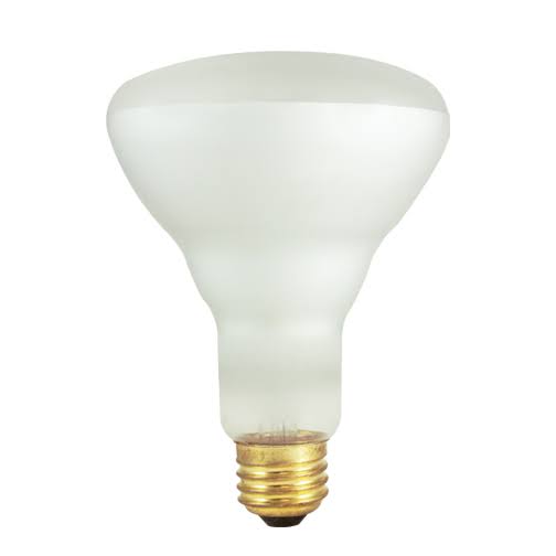 65 Watt Incandescent BR30 Reflector Flood Medium Base Clear, Pack of 2 O5978