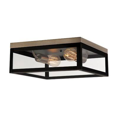 2 Light 13x22 Caged Square Flush Mount O34557