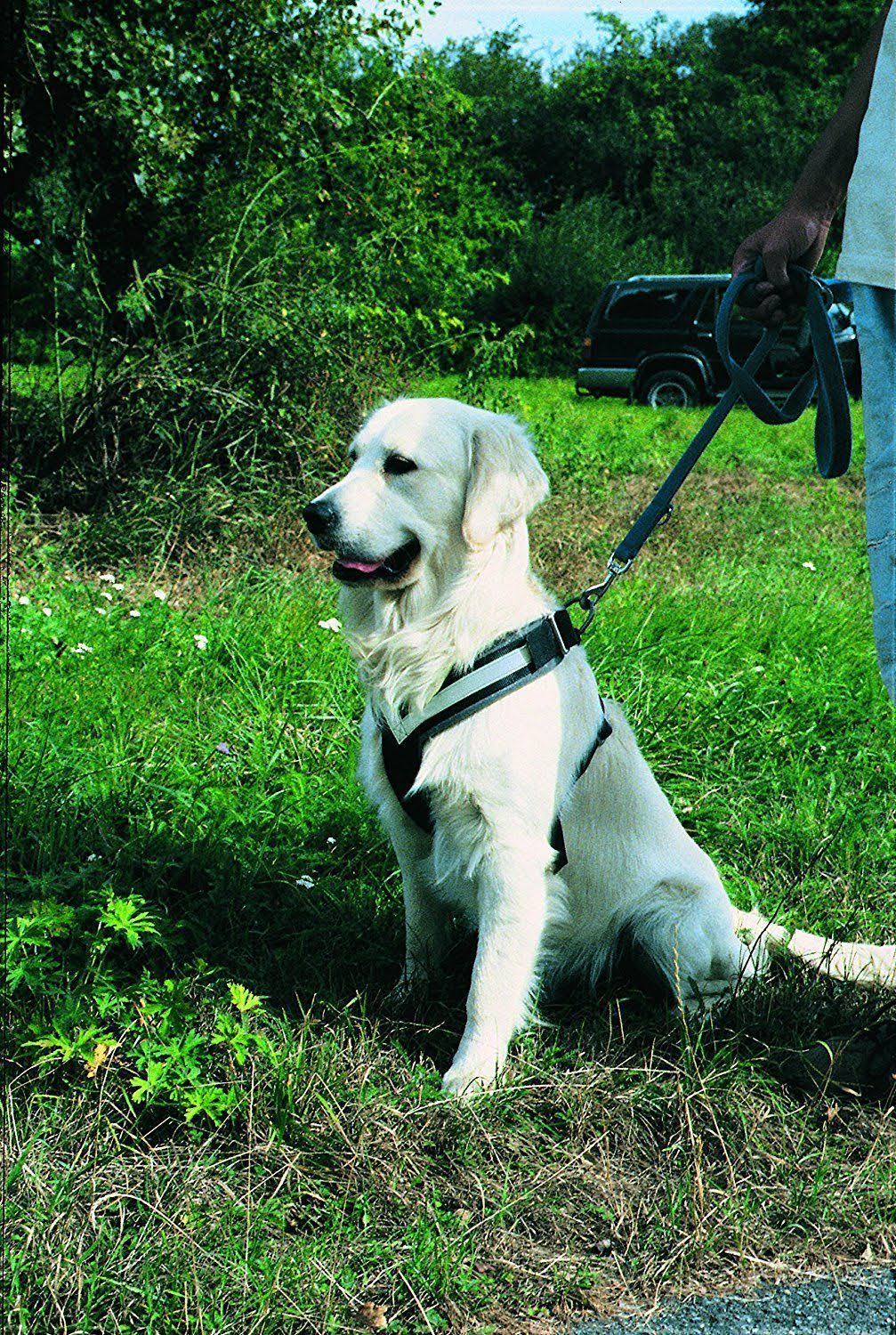 Large Harness U9821