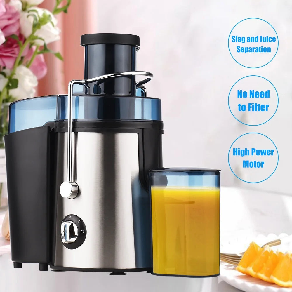800W Stainless Steel Electric Juicer V31793