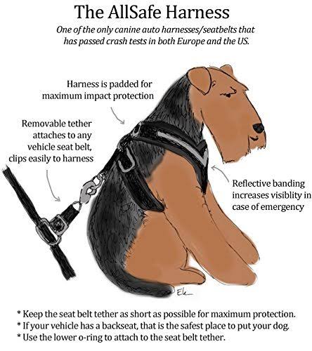 Large Harness U9821