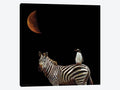 Canvas Art Picture - Pilgrimage - Zebras Art P502