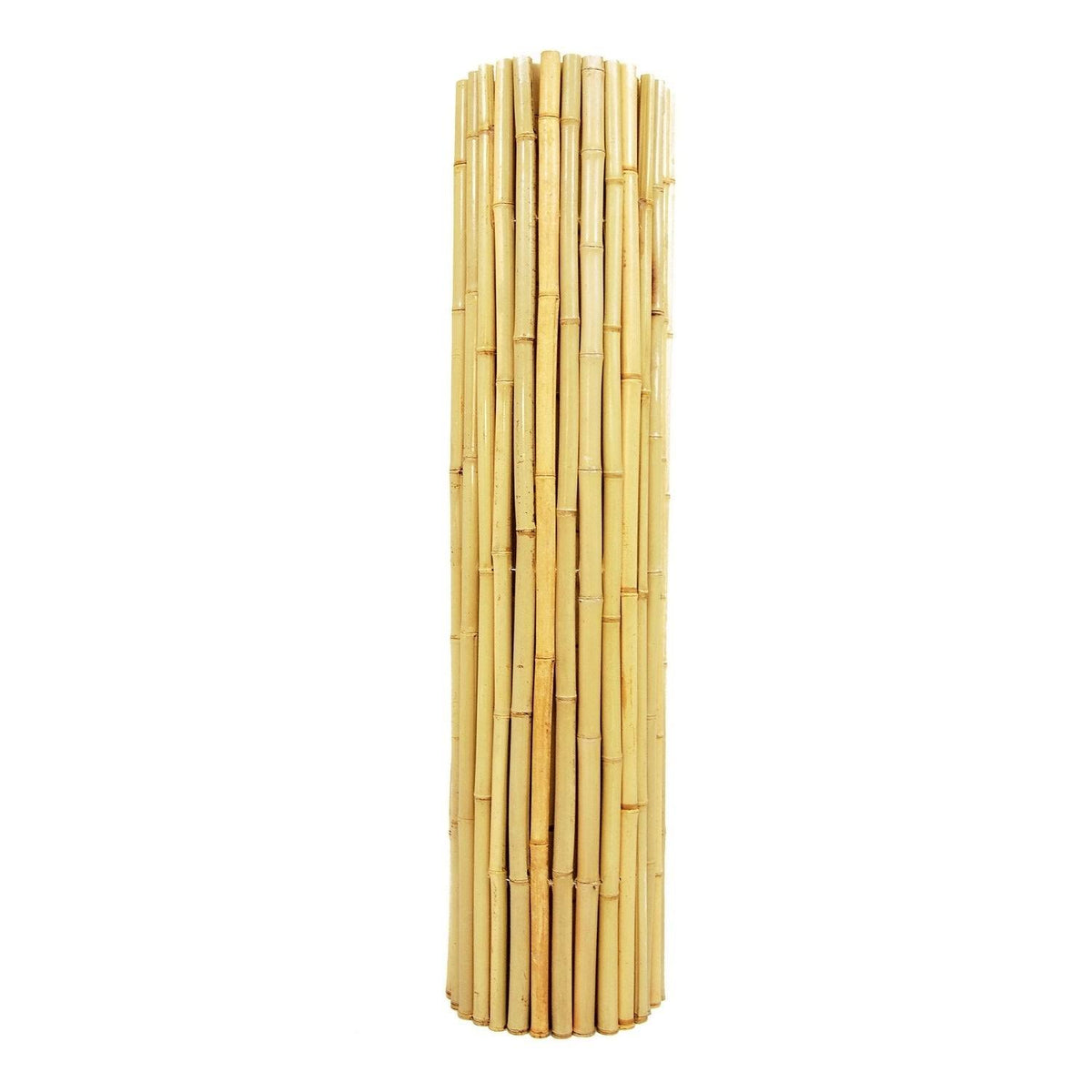 Natural Bamboo Fencing O417128