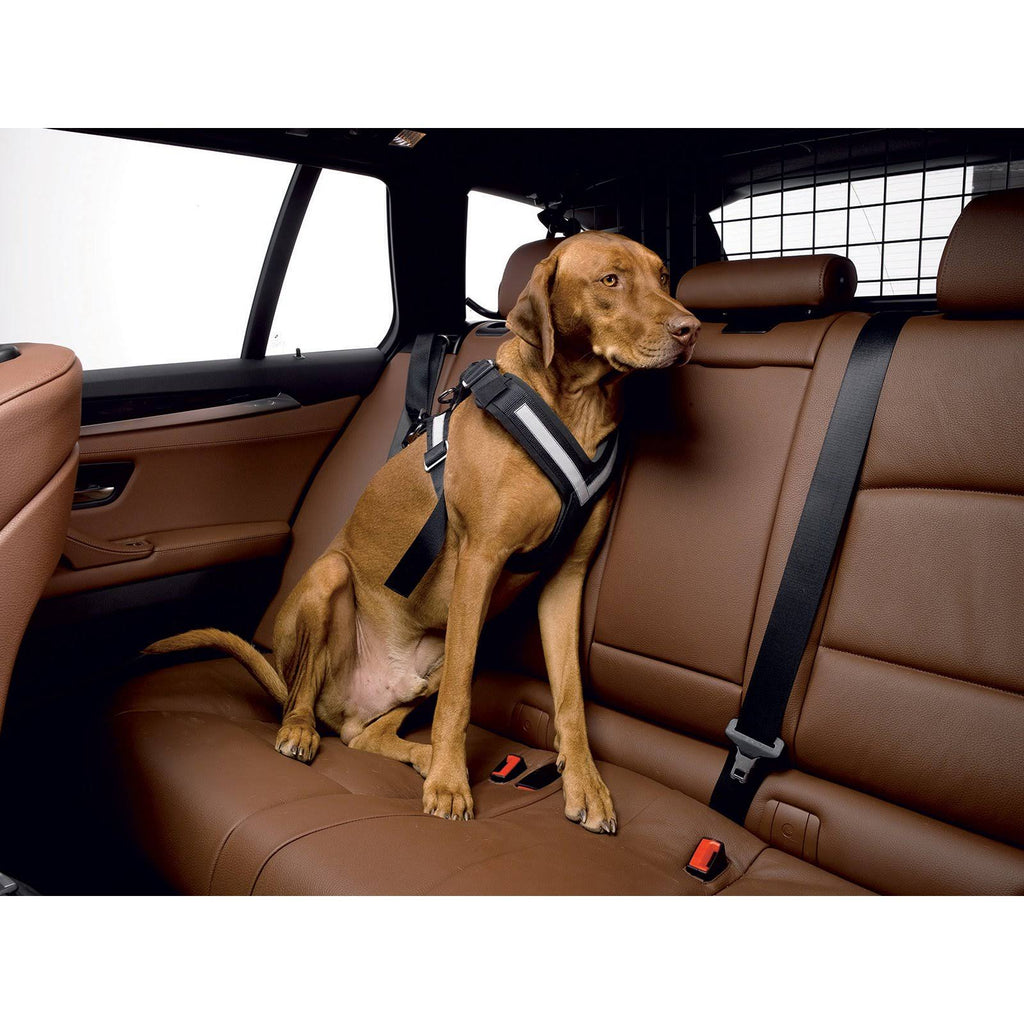 Large Harness U9821
