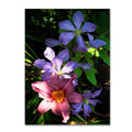 Canvas Art W85065