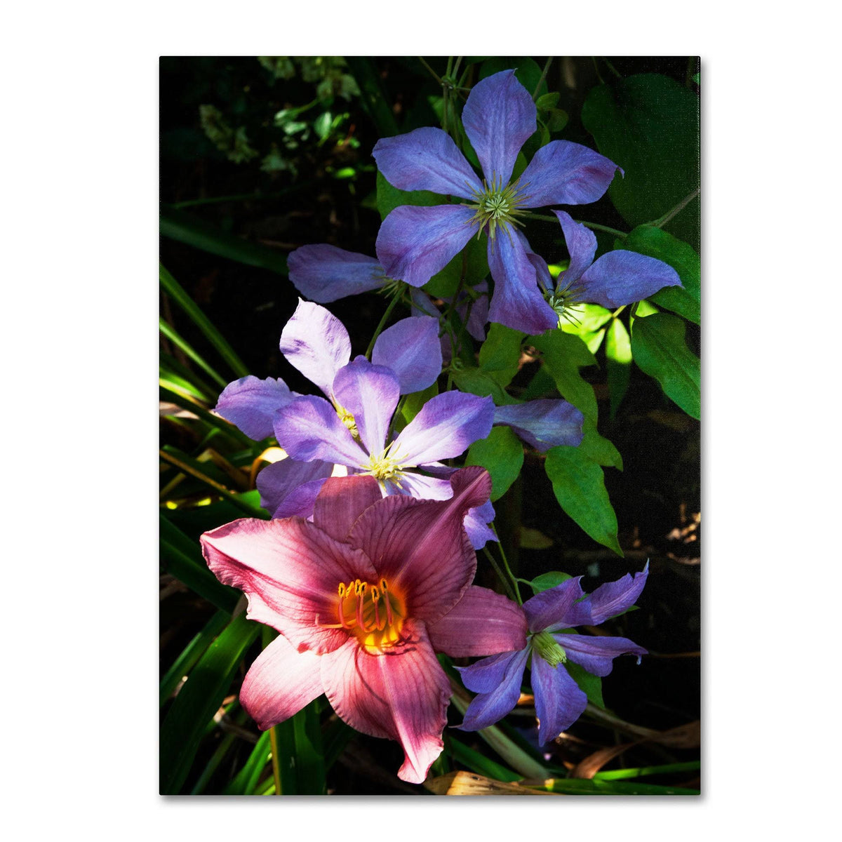 Canvas Art W85065