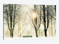 Canvas Wall Decor Prints Q540