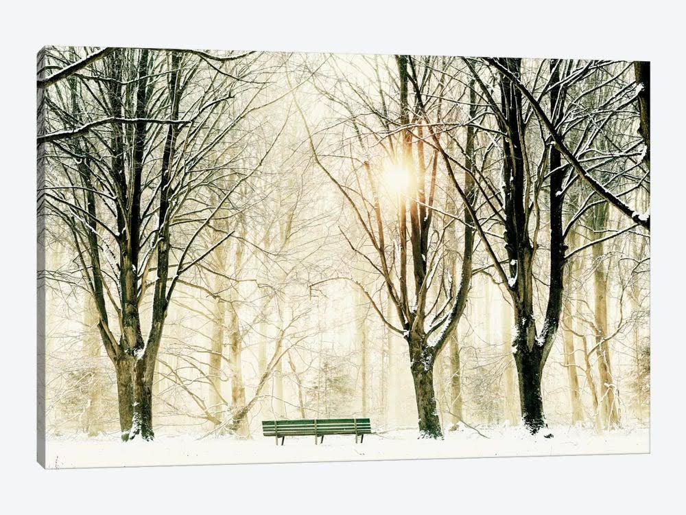 Canvas Wall Decor Prints Q540