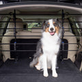 Metal Dog Barrier H82215