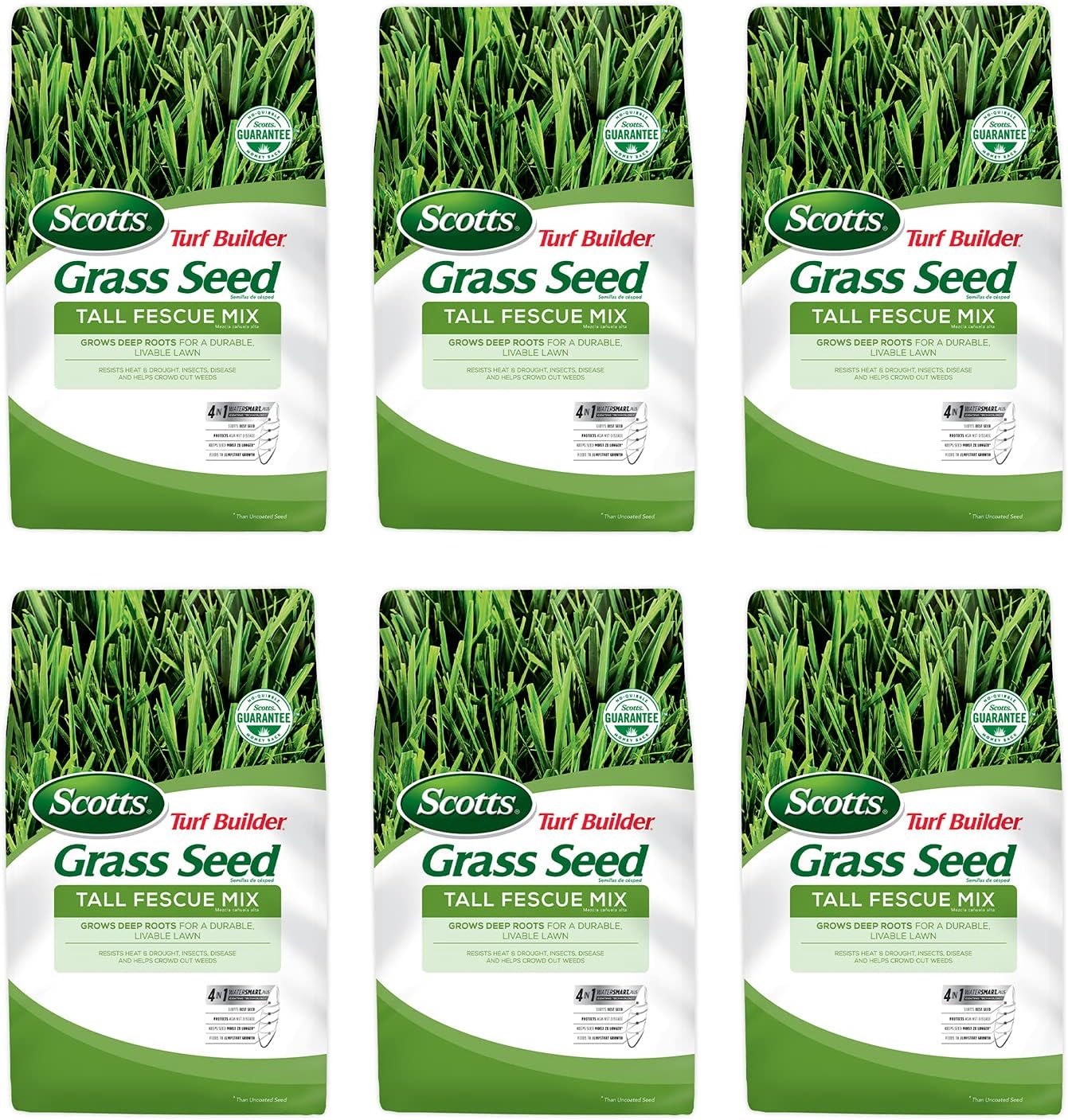 Tall Fescue Grass Seed Mix, 20 lb. Pack of 2 G88524
