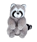 Raccoon Plush Stuffed Animal, 12 Inches L498