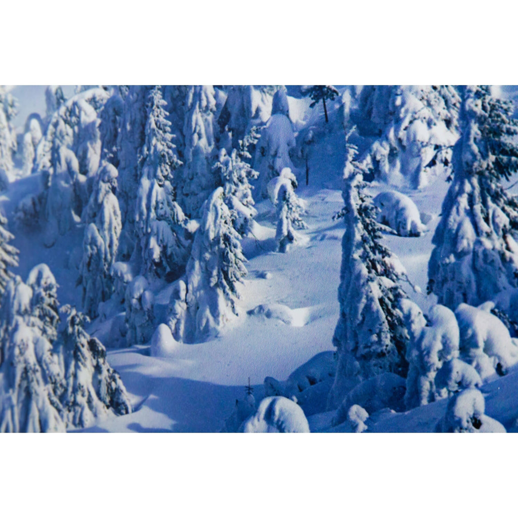 Alpine Landscape U439462