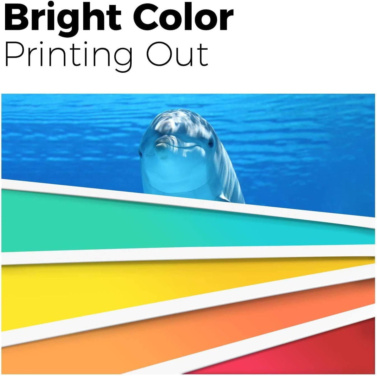 Remanufactured Ink Cartridge Pack of 2 (1 Black, 1 Tri-Color) Z923