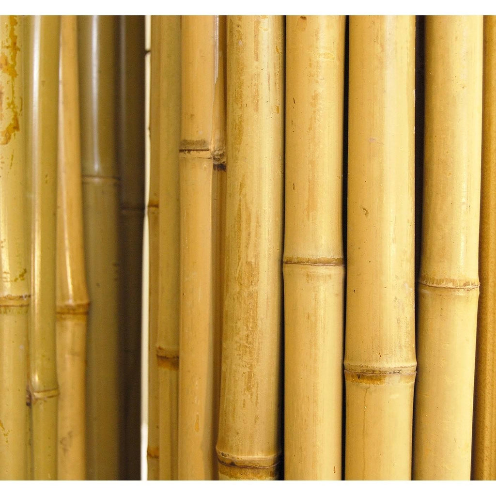 Natural Bamboo Fencing O417128