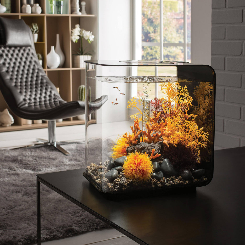 White 8 Gallon Aquarium Y11544