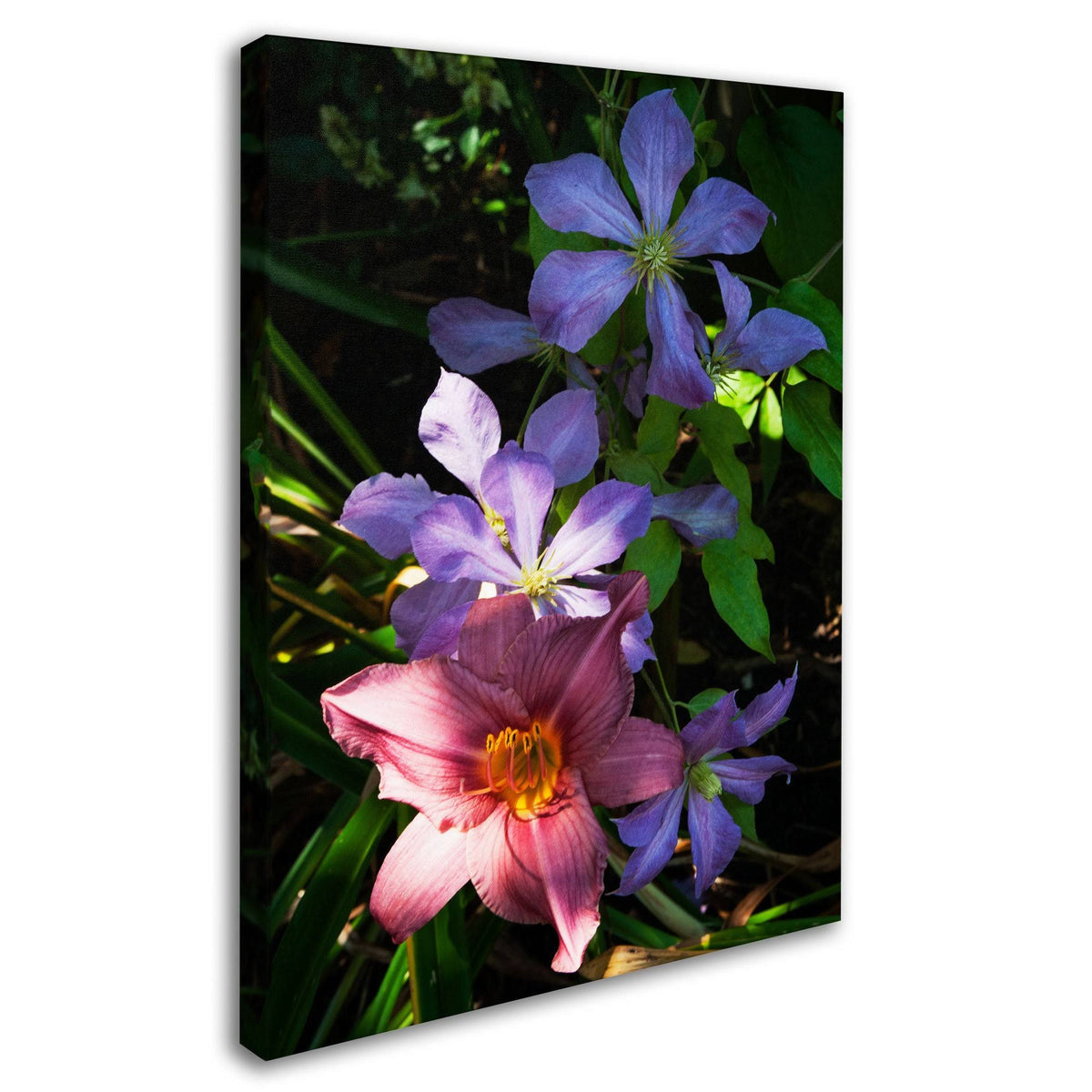 Canvas Art W85065
