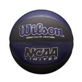 Purple / Black Intermediate Basketball P686629